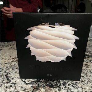 Carmina light fixture